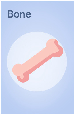 Explore Lab Tests related to Bone Health