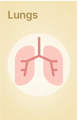 Explore Lab Tests related to Lung Health