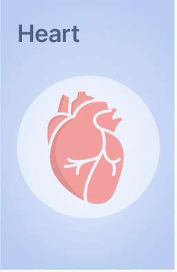 Explore Lab Tests related to Heart Health