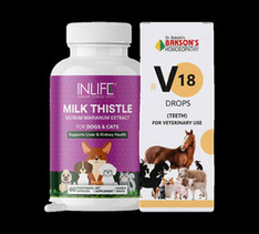 Pet Medicine