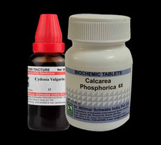Dr.willmar Schwabe India Store