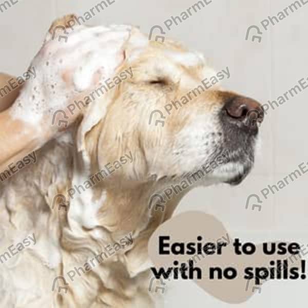 Dog Soap