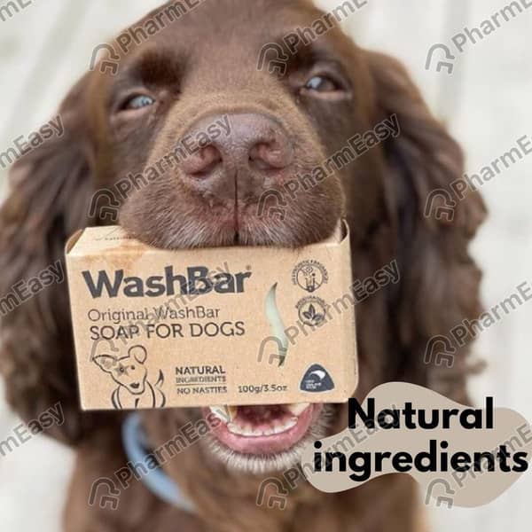 Dog Soap