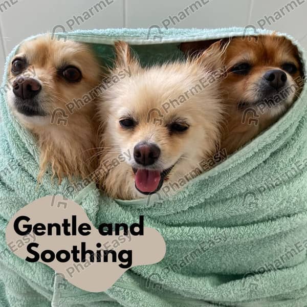 Dog Soap