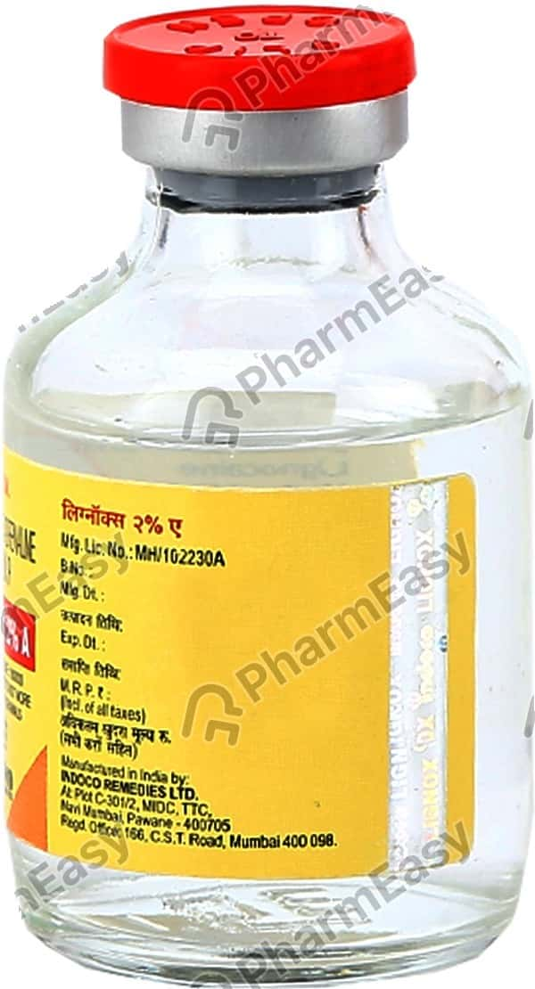 Lignox 2% A Vial Of 30ml Solution For Injection