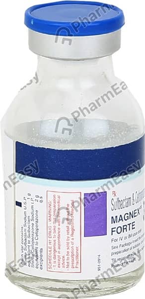 Magnex Forte 3gm Dry Vial Of 1 Powder For Injection
