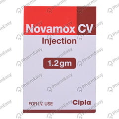 Novamox Cv 1.2gm Dry Vial Of 1 Powder For Injection