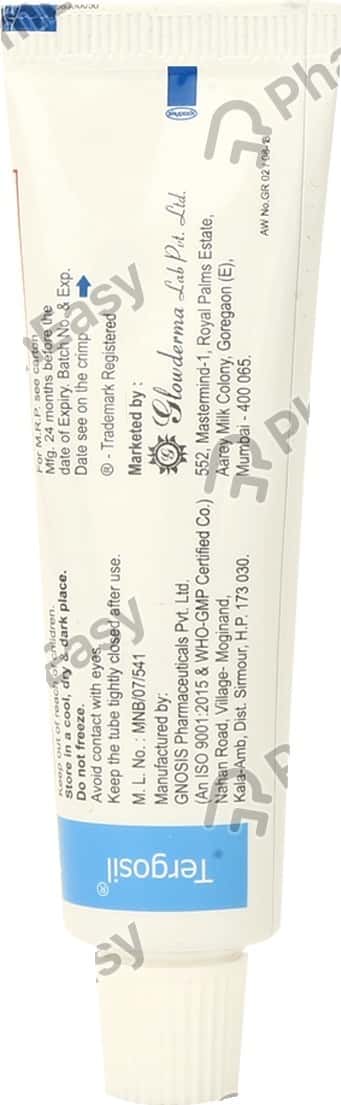 Tergosil Tube Of 20gm Cream