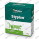 Styplon Bolus
