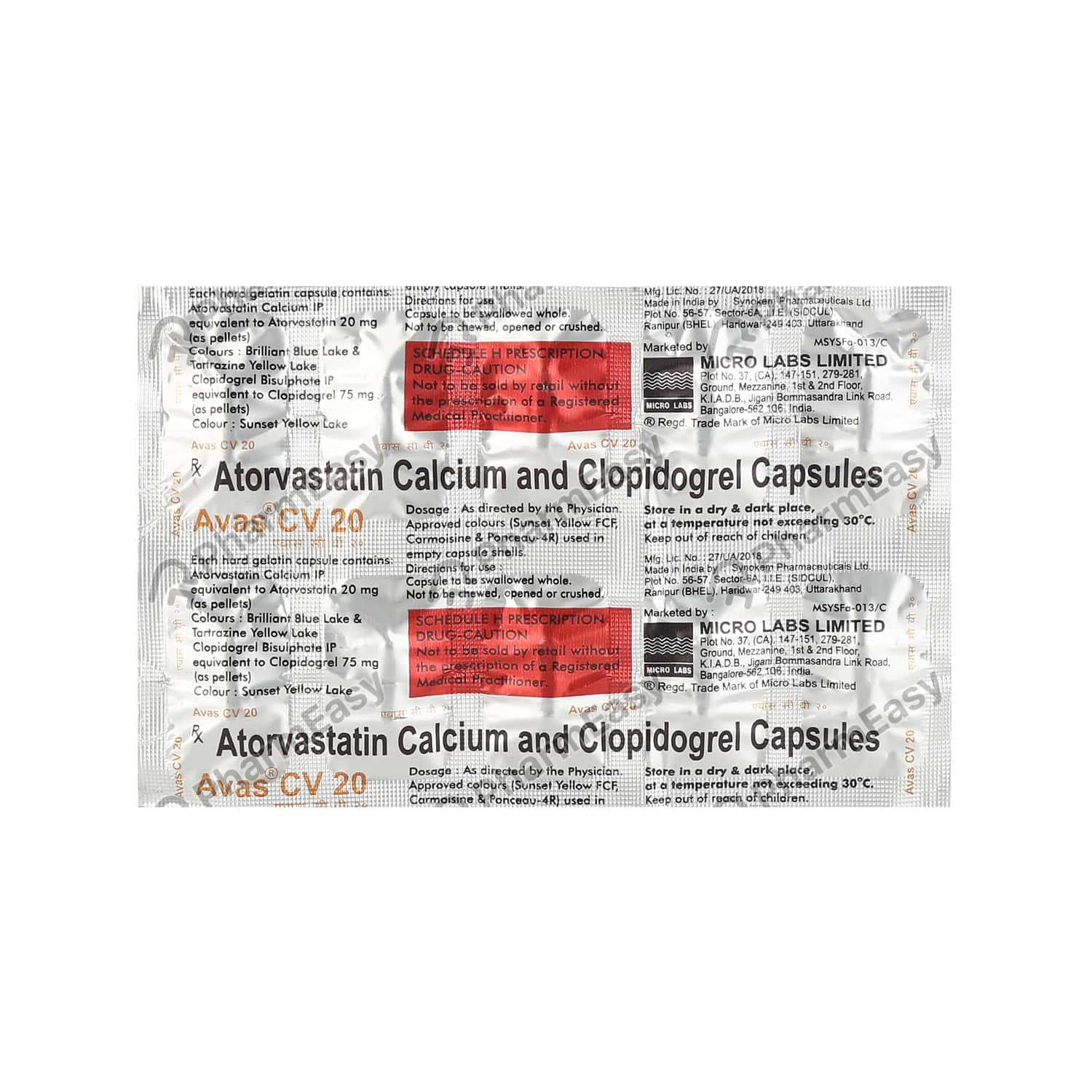 Curriculum vitae format in word picture