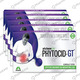 Alchemlife Phytocid-Gt Natural Treatment For Indigestion & Gas - Strip Of 10 Capsules