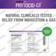 Alchemlife Phytocid-Gt Natural Treatment For Indigestion & Gas - Strip Of 10 Capsules