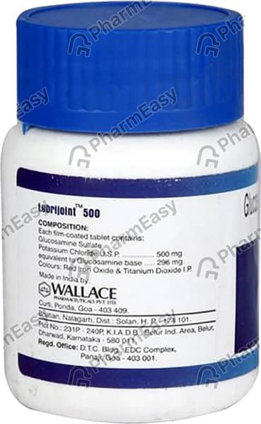 Lubrijoint 500mg Strip Of 10 Tablets