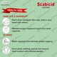 Scabicid Bottle Of 100Ml Lotion
