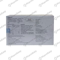 SYNPROTIK 90 STRIP OF 10 CAPSULES