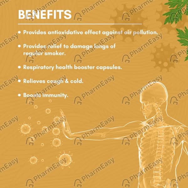 Pulmoheal Strip Of 5 Capsules