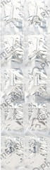 BOCOMO STRIP OF 10 CAPSULES