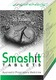 Smashit Tablets 30'S