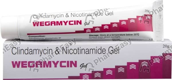 Wegamycin Gel 20gm