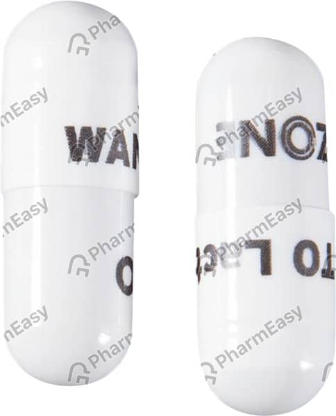 Wanto Lact Strip Of 10 Capsules