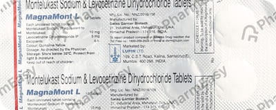 Magnamont L Strip Of 10 Tablets