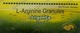 Argenta Lemon Orange Flavour Sugar Free Sachet Of 8.5gm Granules