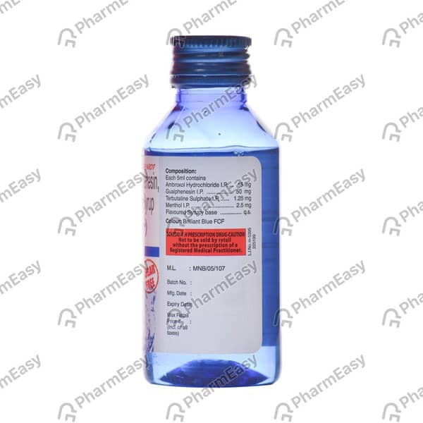 Viscodyne Bottle Of 100ml Syrup