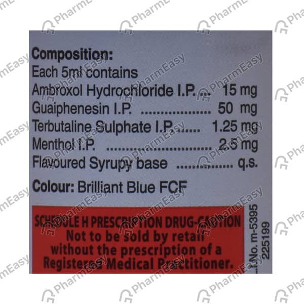 Viscodyne Bottle Of 100ml Syrup