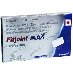 FITJOINT MAX STRIP OF 10 CAPSULES