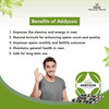 Charak Addyzoa Strip Of 20 Capsules