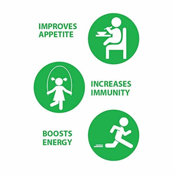 Aptivate | Tasty Pineapple | Appetite Stimulating | Bottle 450 Ml Syrup