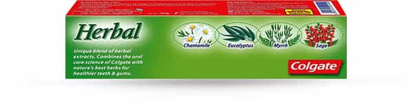 Colgate Toothpaste - Herbal - 100 G - Natural
