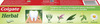 Colgate Herbal Toothpaste Tube Of 200 G