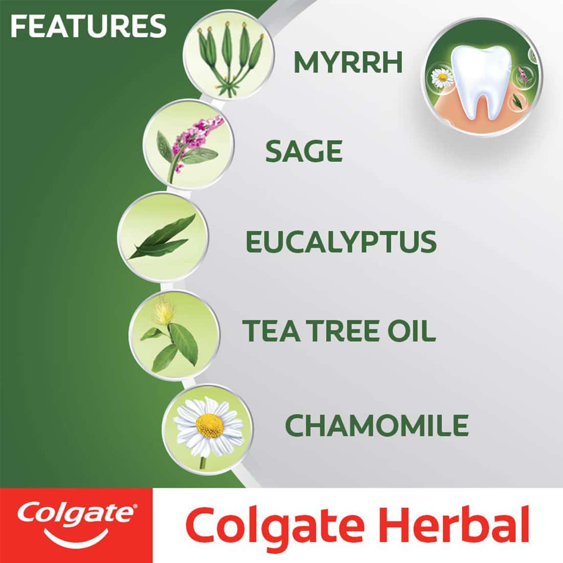 COLGATE HERBAL  TOOTHPASTE  TUBE OF 200 G