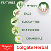 Colgate Herbal Toothpaste Tube Of 200 G