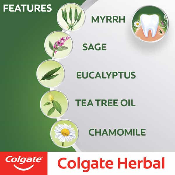 Colgate Herbal  Toothpaste  Tube Of 200 G
