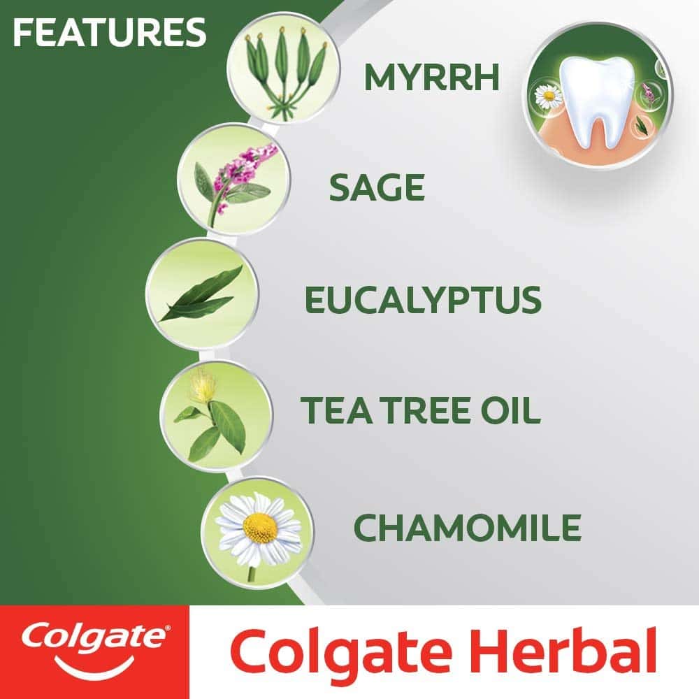 Buy Colgate Toothpaste Herbal 200 G Natural Online & Get Upto 60