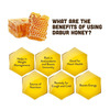 Dabur Honey 100 Gm
