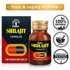 Dabur Shilajit Vitality Capsules Bottle Of 100