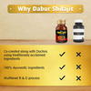 Dabur Shilajit Vitality Capsules Bottle Of 100