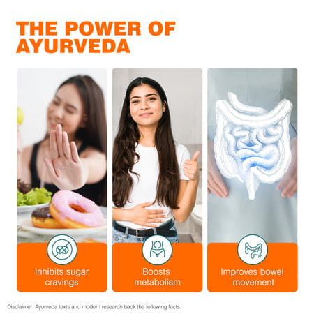 Himalaya Ayurslim | For Weight Management | Capsules | 60 No'S