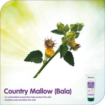 View product image 5