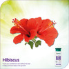 Himalaya Gentle Baby Shampoo 100 Ml
