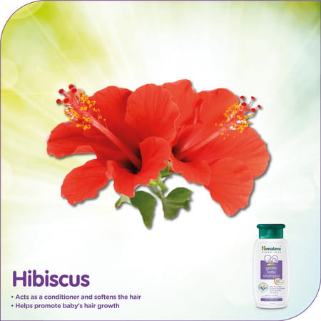 Himalaya Gentle Baby Shampoo 100 Ml