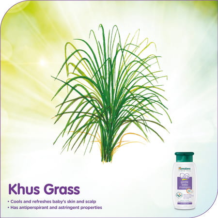 Himalaya Gentle Baby Shampoo 100 Ml