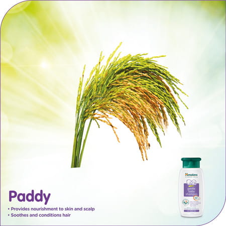 Himalaya Gentle Baby Shampoo 100 Ml