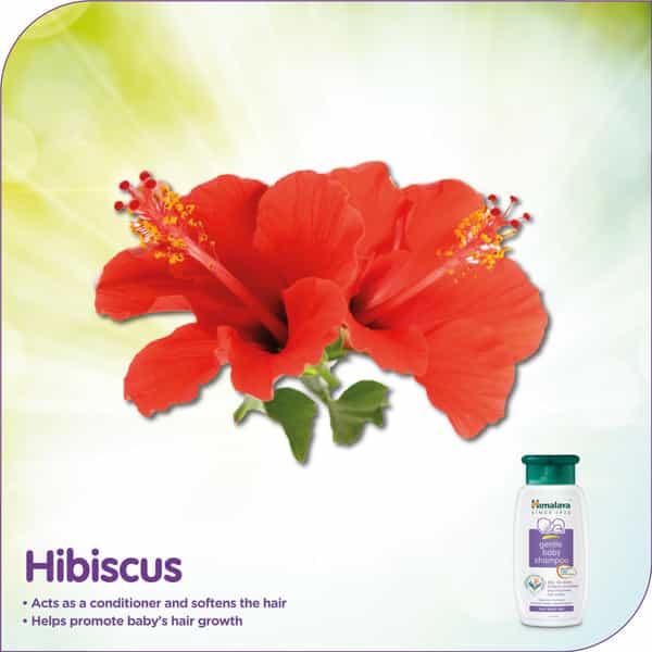 Himalaya Gentle Baby Shampoo | Bottle 200 Ml