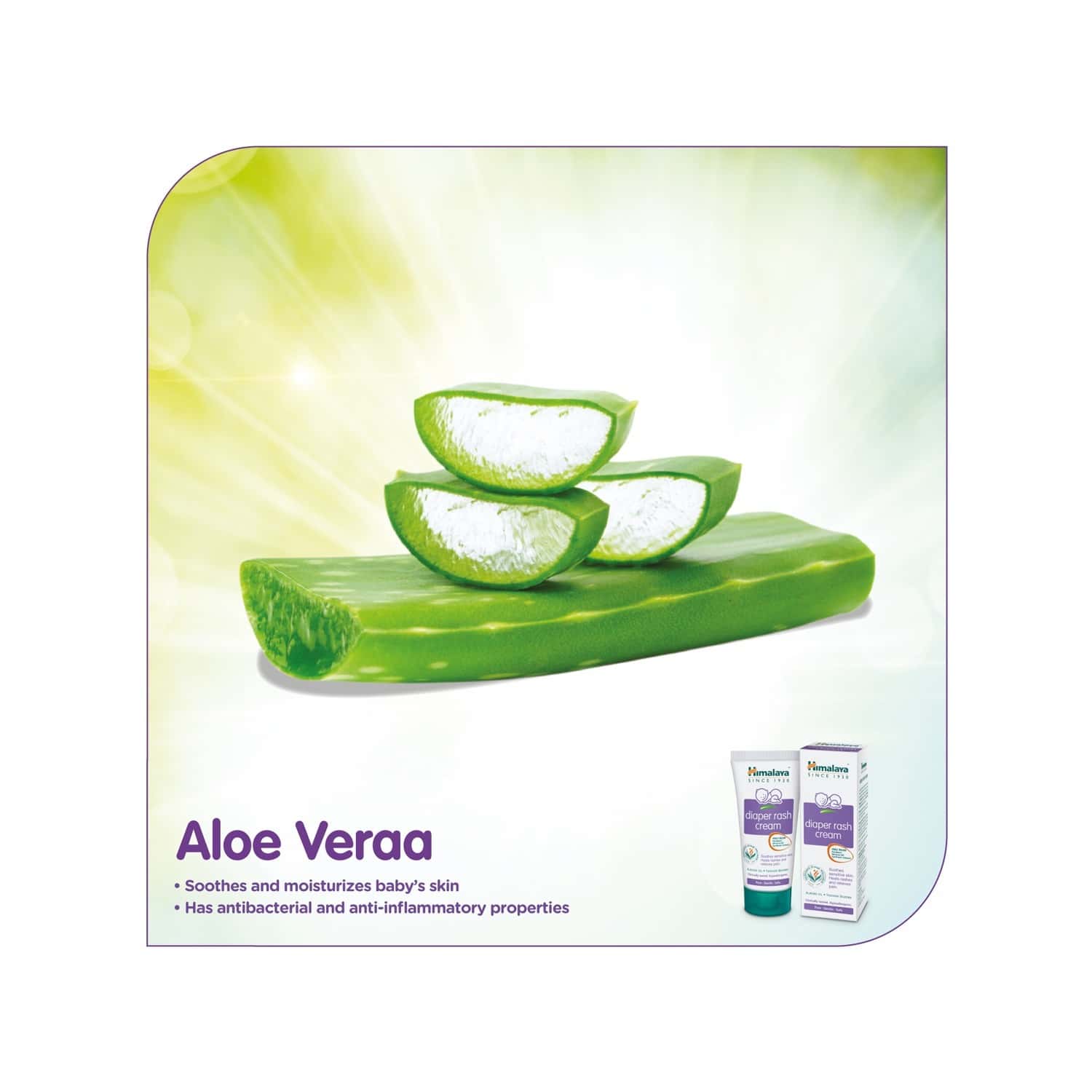 Buy HIMALAYA DIAPER RASH CREAM ( 20GM) Online & Get Upto 60 OFF at