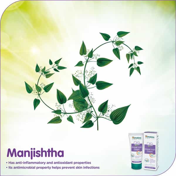 Himalaya Baby Diaper Rash | Tube 20 Gm Cream