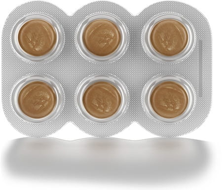 Himalaya Koflet-H | For Relief From Cough & Sore Throat | Ginger Flavour | Lozenges | 6 No'S